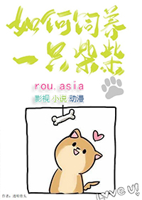 如何饲养一只猫咪